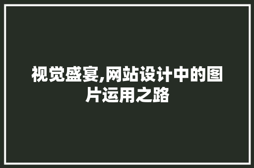 视觉盛宴,网站设计中的图片运用之路 视觉盛宴,网站设计中的图片运用之路 百度SEO