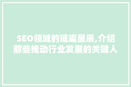 SEO领域的璀璨星辰,介绍那些推动行业发展的关键人物
