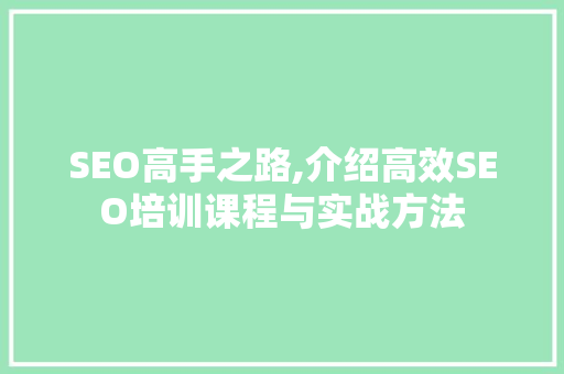 SEO高手之路,介绍高效SEO培训课程与实战方法 SEO高手之路,介绍高效SEO培训课程与实战方法 SEO关键词