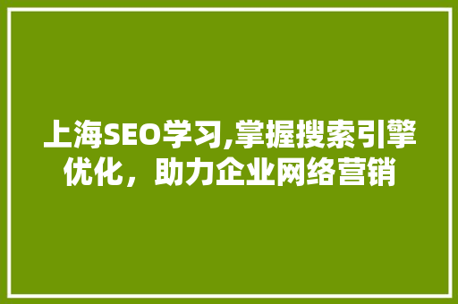 上海SEO学习,掌握搜索引擎优化，助力企业网络营销 上海SEO学习,掌握搜索引擎优化，助力企业网络营销 百度SEO