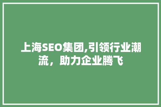 上海SEO集团,引领行业潮流，助力企业腾飞 上海SEO集团,引领行业潮流，助力企业腾飞 网站建设公司