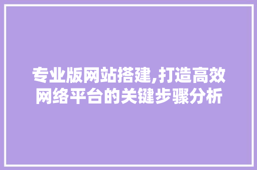 专业版网站搭建,打造高效网络平台的关键步骤分析 专业版网站搭建,打造高效网络平台的关键步骤分析 SEO关键词