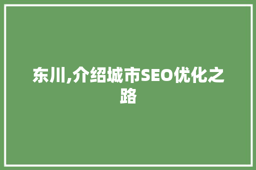 东川,介绍城市SEO优化之路 东川,介绍城市SEO优化之路 网站建设公司