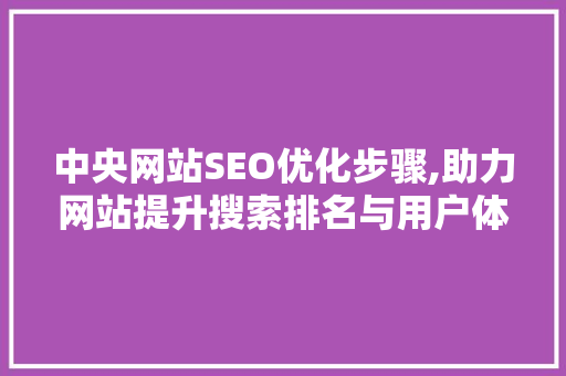 中央网站SEO优化步骤,助力网站提升搜索排名与用户体验 中央网站SEO优化步骤,助力网站提升搜索排名与用户体验 网站建设公司
