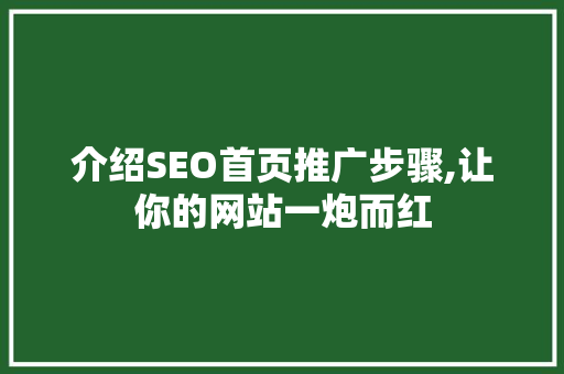 介绍SEO首页推广步骤,让你的网站一炮而红 介绍SEO首页推广步骤,让你的网站一炮而红 SEO关键词