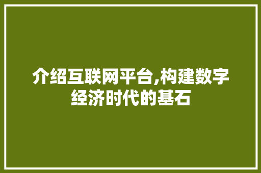介绍互联网平台,构建数字经济时代的基石 介绍互联网平台,构建数字经济时代的基石 网站建设公司