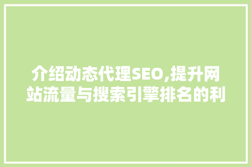 介绍动态代理SEO,提升网站流量与搜索引擎排名的利器 搜狗SEO