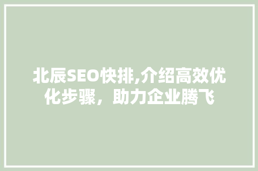 北辰SEO快排,介绍高效优化步骤，助力企业腾飞