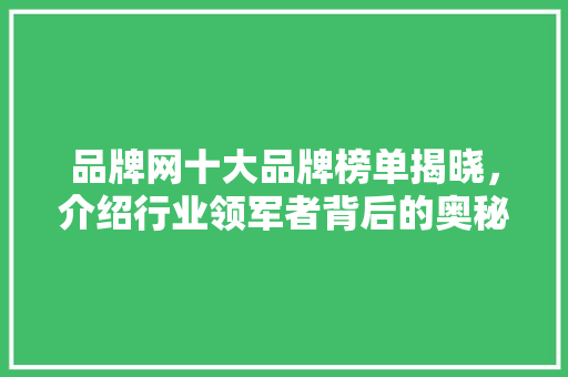 品牌网十大品牌榜单揭晓，介绍行业领军者背后的奥秘 品牌网十大品牌榜单揭晓，介绍行业领军者背后的奥秘 神马SEO