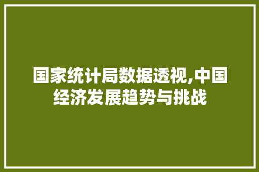 国家统计局数据透视,中国经济发展趋势与挑战 国家统计局数据透视,中国经济发展趋势与挑战 必应SEO