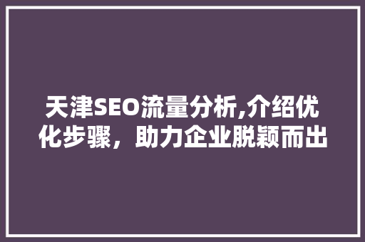 天津SEO流量分析,介绍优化步骤，助力企业脱颖而出 天津SEO流量分析,介绍优化步骤，助力企业脱颖而出 SEO关键词