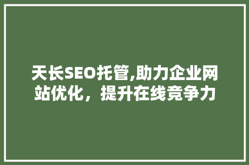 天长SEO托管,助力企业网站优化，提升在线竞争力