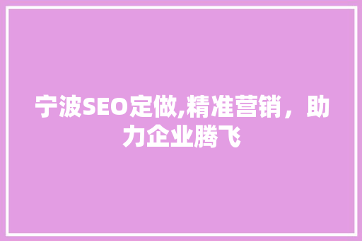 宁波SEO定做,精准营销，助力企业腾飞 宁波SEO定做,精准营销，助力企业腾飞 网站建设公司