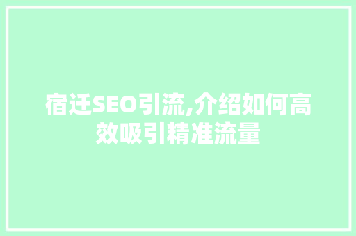 宿迁SEO引流,介绍如何高效吸引精准流量