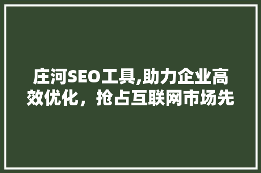 庄河SEO工具,助力企业高效优化，抢占互联网市场先机