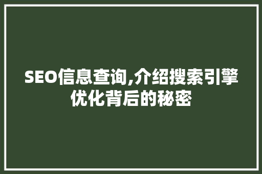 SEO信息查询,介绍搜索引擎优化背后的秘密 SEO信息查询,介绍搜索引擎优化背后的秘密 搜狗SEO