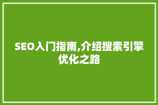 SEO入门指南,介绍搜索引擎优化之路 SEO入门指南,介绍搜索引擎优化之路 SEO关键词