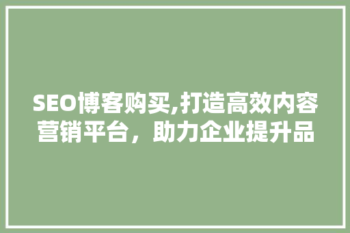 SEO博客购买,打造高效内容营销平台，助力企业提升品牌影响力 SEO博客购买,打造高效内容营销平台，助力企业提升品牌影响力 网站建设公司