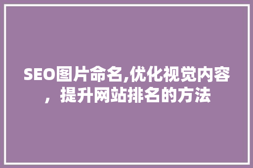SEO图片命名,优化视觉内容，提升网站排名的方法 SEO图片命名,优化视觉内容，提升网站排名的方法 网站建设公司