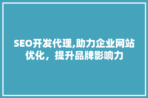 SEO开发代理,助力企业网站优化，提升品牌影响力 SEO开发代理,助力企业网站优化，提升品牌影响力 网站建设公司