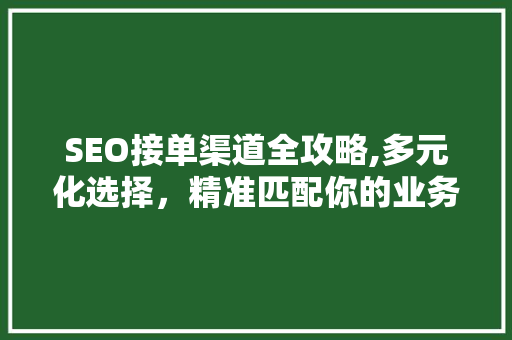 SEO接单渠道全攻略,多元化选择，精准匹配你的业务需求 SEO接单渠道全攻略,多元化选择，精准匹配你的业务需求 百度SEO
