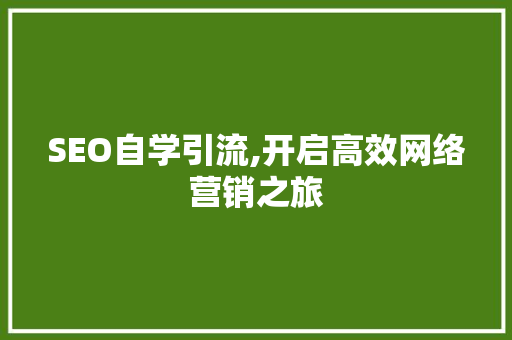 SEO自学引流,开启高效网络营销之旅 SEO自学引流,开启高效网络营销之旅 神马SEO