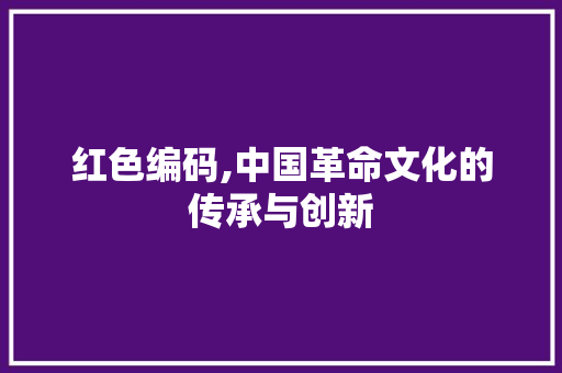 红色编码,中国革命文化的传承与创新 红色编码,中国革命文化的传承与创新 网站建设公司