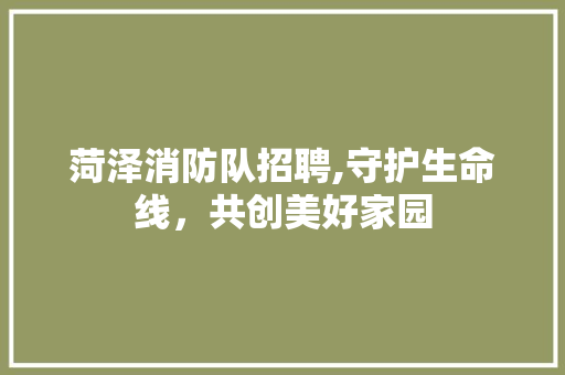菏泽消防队招聘,守护生命线，共创美好家园 菏泽消防队招聘,守护生命线，共创美好家园 网站建设公司