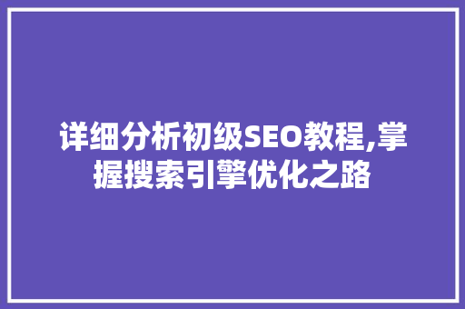 详细分析初级SEO教程,掌握搜索引擎优化之路 详细分析初级SEO教程,掌握搜索引擎优化之路 必应SEO