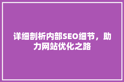 详细剖析内部SEO细节，助力网站优化之路 详细剖析内部SEO细节，助力网站优化之路 搜狗SEO