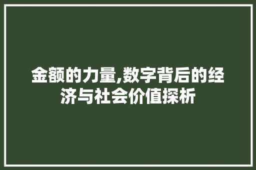 金额的力量,数字背后的经济与社会价值探析 金额的力量,数字背后的经济与社会价值探析 搜狗SEO