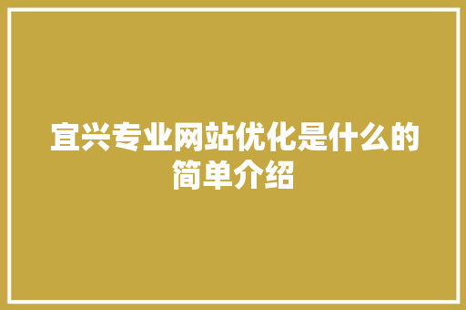 宜兴专业网站优化是什么的简单介绍 宜兴专业网站优化是什么的简单介绍 百度SEO