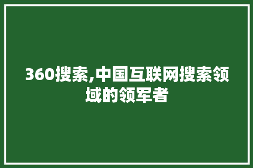 360搜索,中国互联网搜索领域的领军者 360搜索,中国互联网搜索领域的领军者 神马SEO
