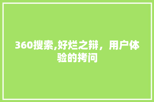 360搜索,好烂之辩，用户体验的拷问 360搜索,好烂之辩，用户体验的拷问 神马SEO