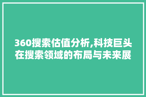 360搜索估值分析,科技巨头在搜索领域的布局与未来展望 360搜索估值分析,科技巨头在搜索领域的布局与未来展望 神马SEO