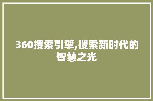 360搜索引擎,搜索新时代的智慧之光 360搜索引擎,搜索新时代的智慧之光 SEO关键词