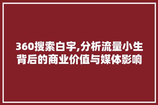 360搜索白宇,分析流量小生背后的商业价值与媒体影响力 360搜索白宇,分析流量小生背后的商业价值与媒体影响力 神马SEO