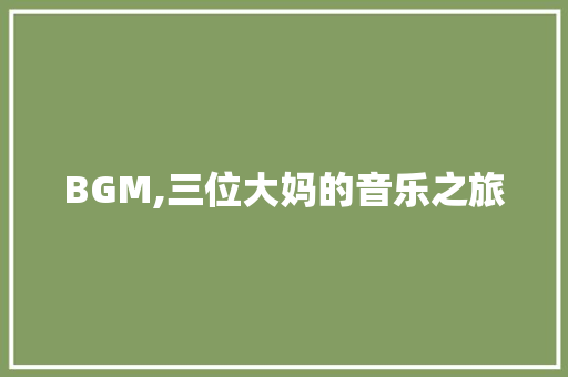 BGM,三位大妈的音乐之旅 BGM,三位大妈的音乐之旅 网站建设公司