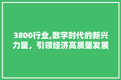3800行业,数字时代的新兴力量，引领经济高质量发展 3800行业,数字时代的新兴力量，引领经济高质量发展 必应SEO