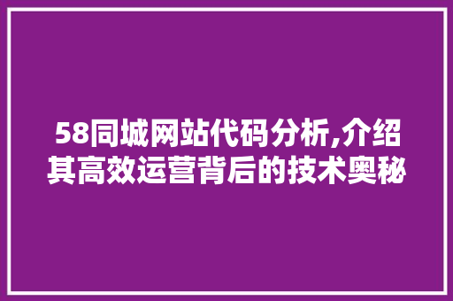 58同城网站代码分析,介绍其高效运营背后的技术奥秘