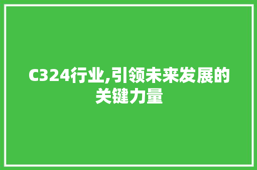 C324行业,引领未来发展的关键力量 C324行业,引领未来发展的关键力量 搜狗SEO