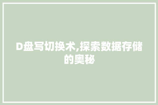 D盘写切换术,探索数据存储的奥秘 D盘写切换术,探索数据存储的奥秘 网站建设公司