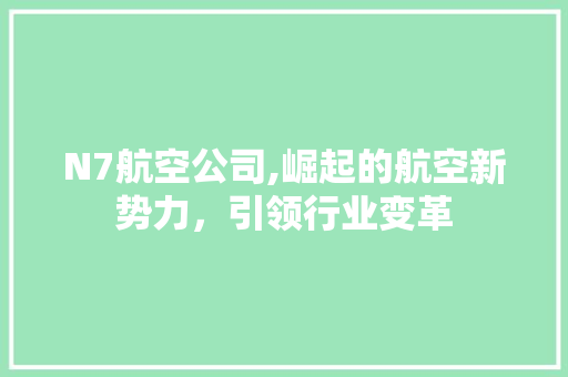N7航空公司,崛起的航空新势力，引领行业变革 N7航空公司,崛起的航空新势力，引领行业变革 必应SEO