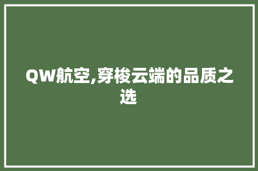QW航空,穿梭云端的品质之选 QW航空,穿梭云端的品质之选 网站建设公司