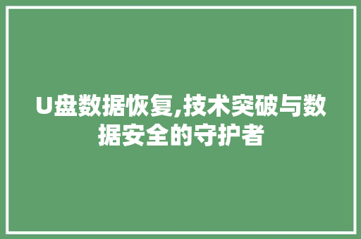 U盘数据恢复,技术突破与数据安全的守护者 U盘数据恢复,技术突破与数据安全的守护者 SEO关键词