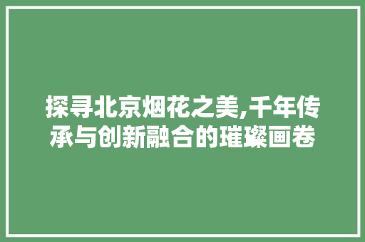 探寻北京烟花之美,千年传承与创新融合的璀璨画卷 探寻北京烟花之美,千年传承与创新融合的璀璨画卷 搜狗SEO