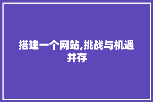 搭建一个网站,挑战与机遇并存 搭建一个网站,挑战与机遇并存 神马SEO