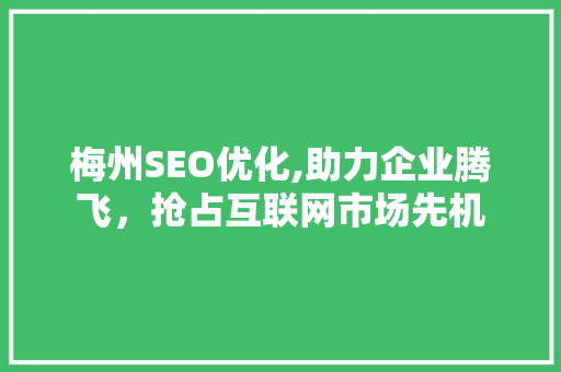梅州SEO优化,助力企业腾飞，抢占互联网市场先机