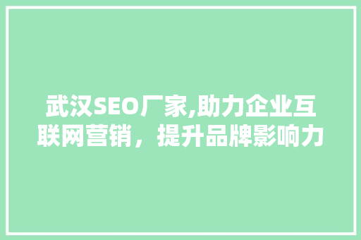 武汉SEO厂家,助力企业互联网营销，提升品牌影响力 武汉SEO厂家,助力企业互联网营销，提升品牌影响力 必应SEO