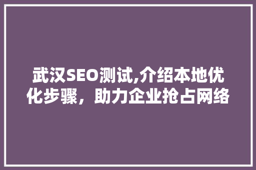 武汉SEO测试,介绍本地优化步骤，助力企业抢占网络高地